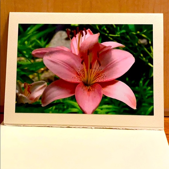 Handmade Flower Blank Cards Rustic Style🦋🌺 - Picture 2 of 7